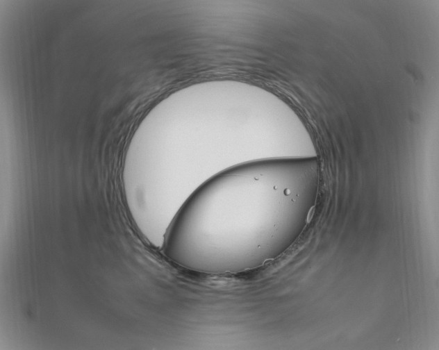 X0000112010617200908031022