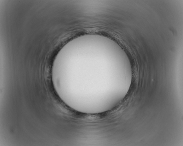 X0000112010619200908031022
