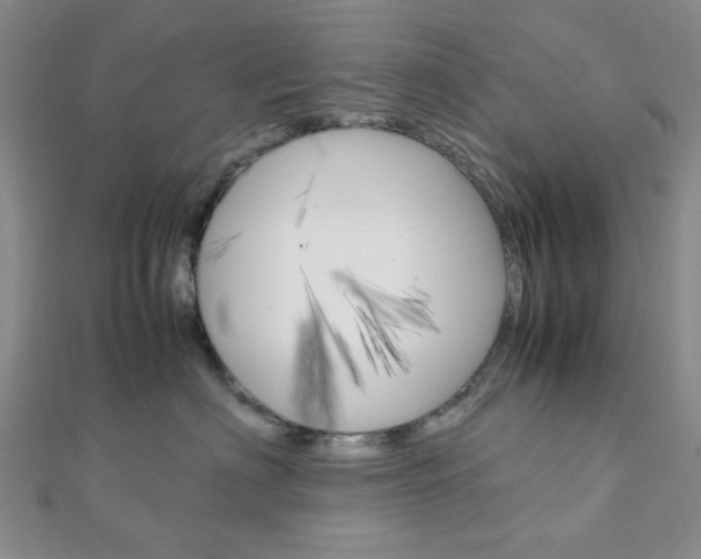 X0000112010622200908031022