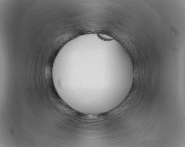 X0000112010623200908031022