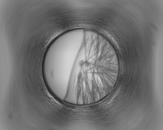 X0000112010625200908031022