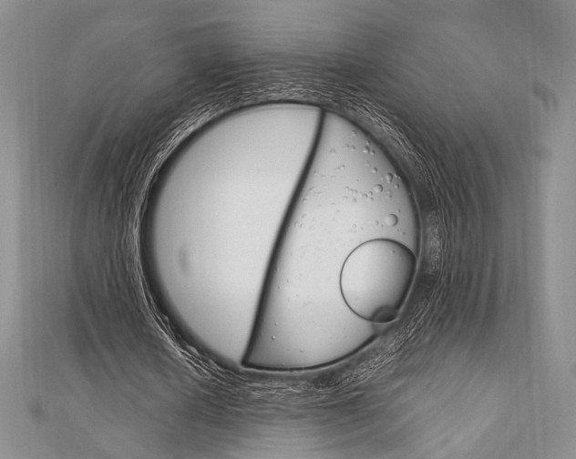 X0000112010626200908031022