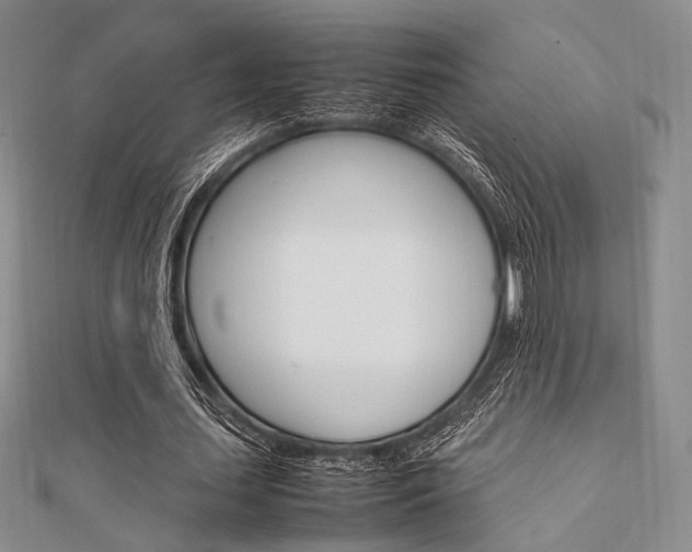 X0000112010627200908031022