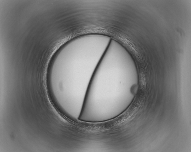 X0000112010630200908031022