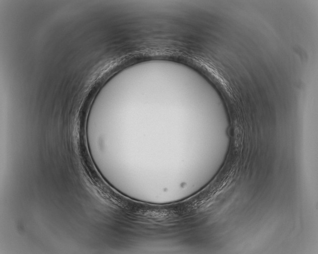 X0000112010631200908031022