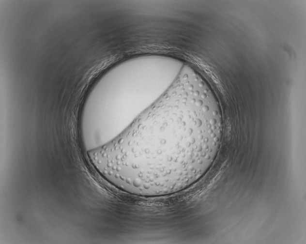 X0000112010633200908031022