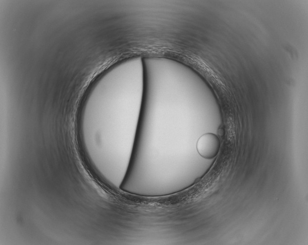 X0000112010634200908031022