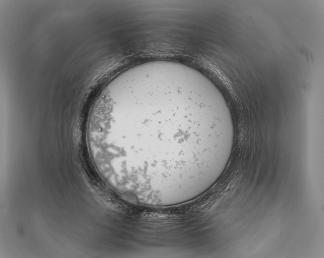 X0000112010635200908031022