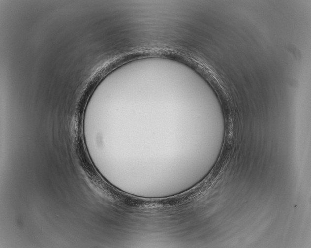 X0000112010636200908031022