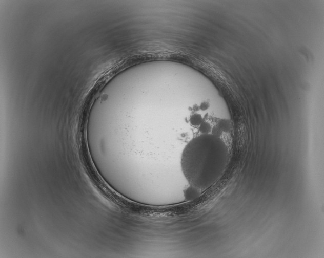 X0000112010638200908031022