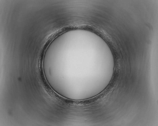 X0000112010640200908031022
