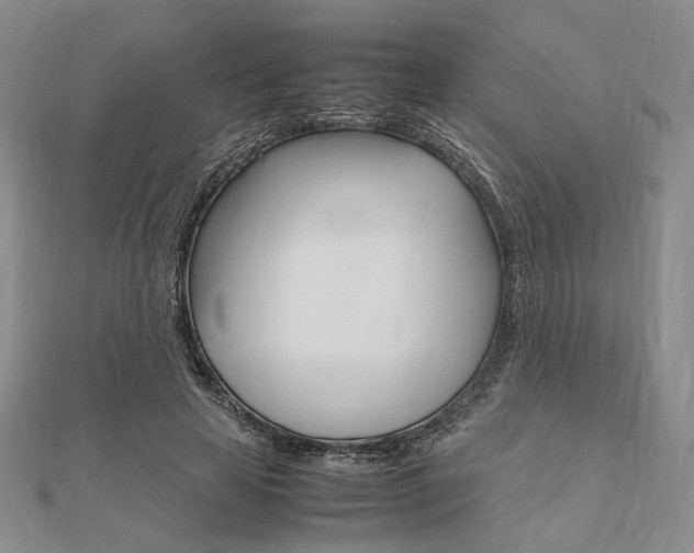 X0000112010641200908031022
