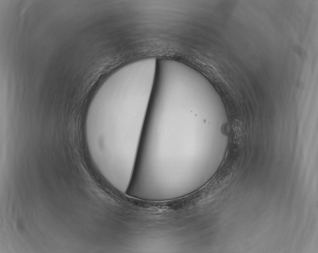 X0000112010642200908031022