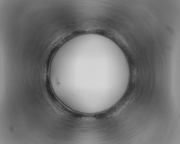 X0000112010644200908031022