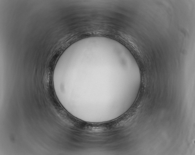 X0000112010645200908031022