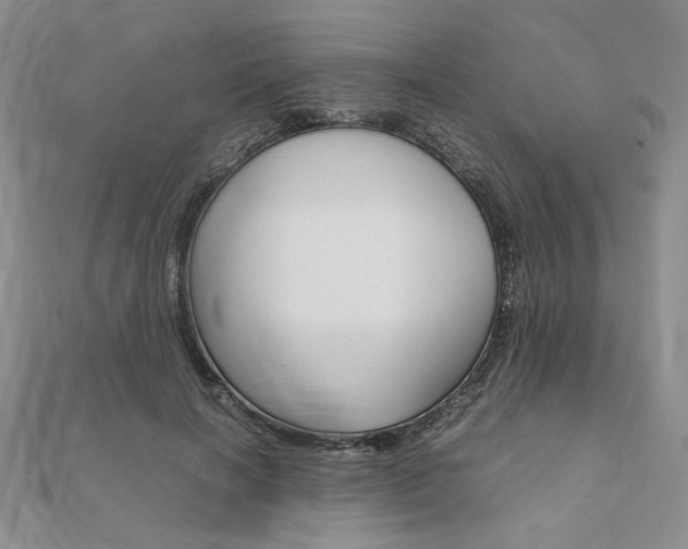 X0000112010646200908031022