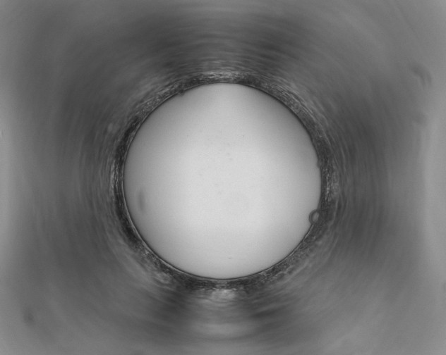 X0000112010647200908031022