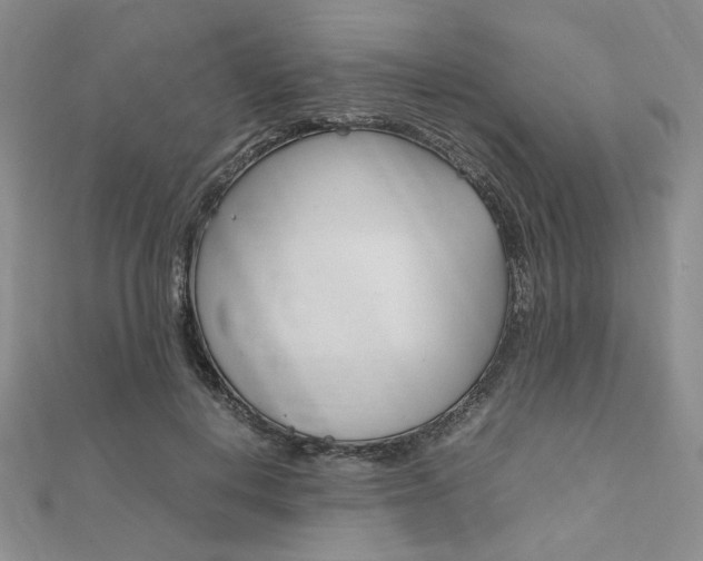 X0000112010648200908031022