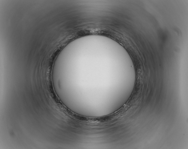 X0000112010650200908031022