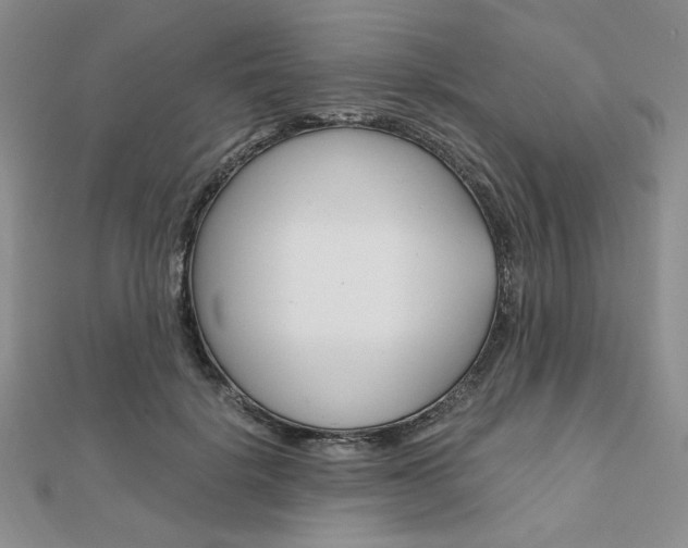 X0000112010652200908031022