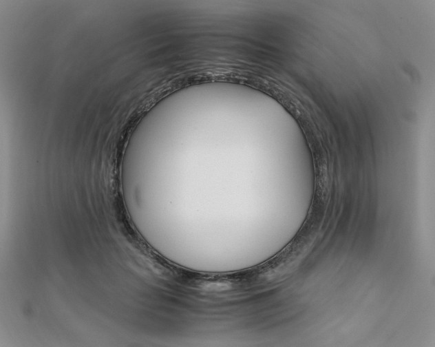 X0000112010653200908031022