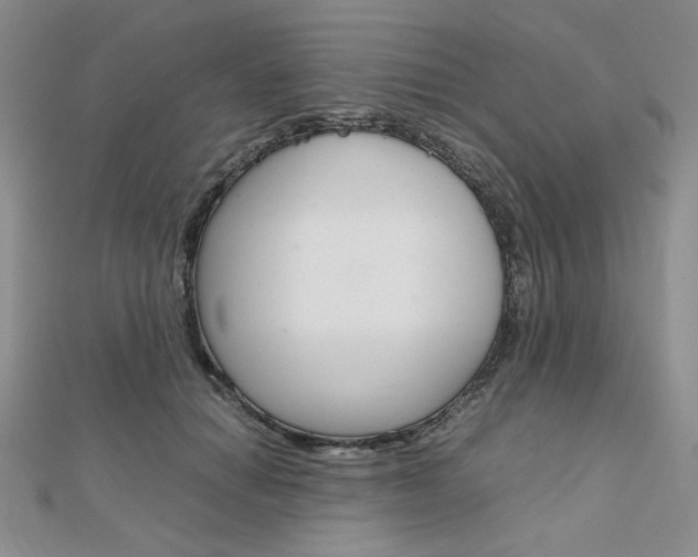 X0000112010654200908031022