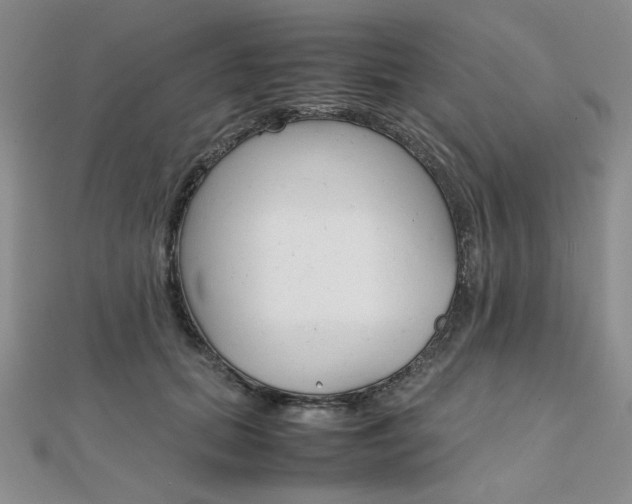 X0000112010655200908031022