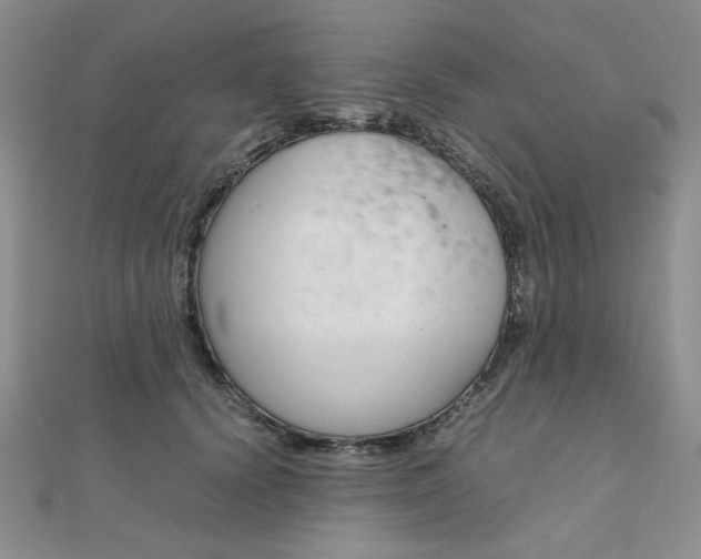 X0000112010656200908031022