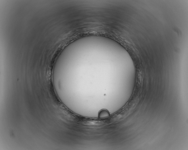 X0000112010657200908031022