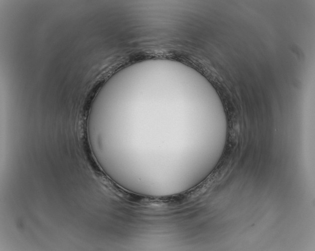 X0000112010658200908031022