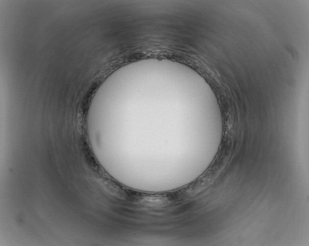 X0000112010659200908031022
