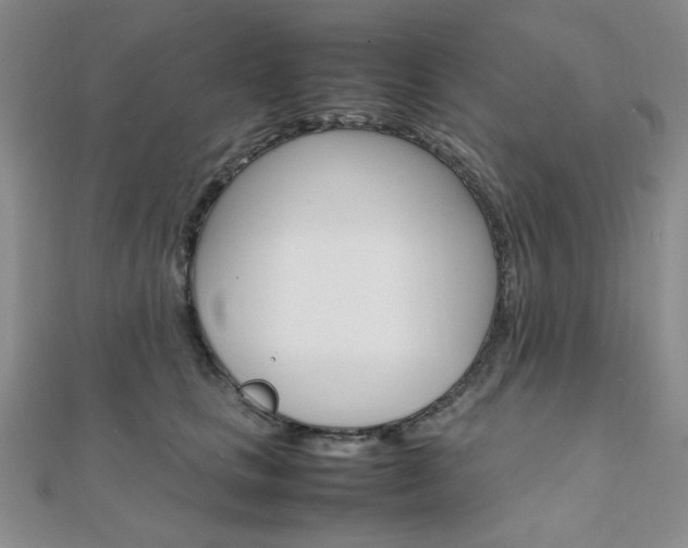X0000112010661200908031022