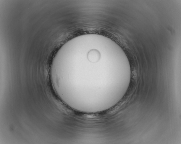 X0000112010662200908031022