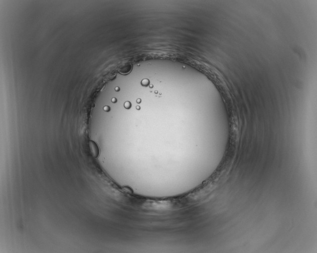 X0000112010665200908031022