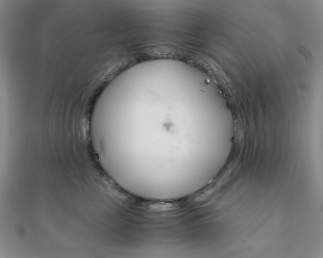X0000112010669200908031022