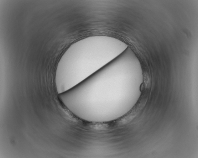 X0000112010670200908031022