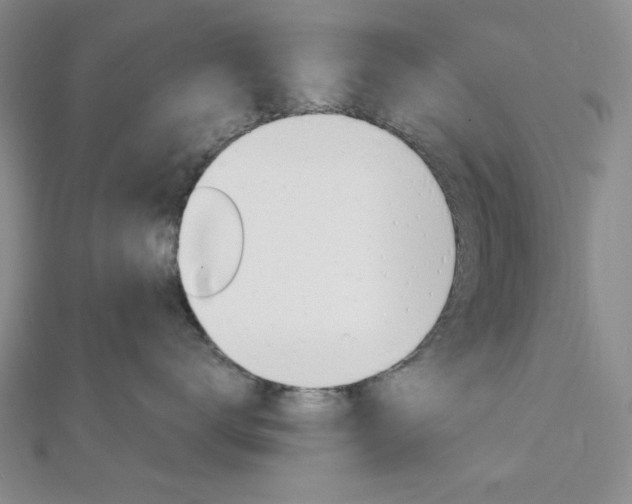 X0000112010672200908031022
