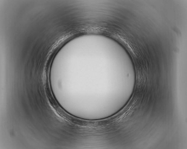 X0000112010674200908031022
