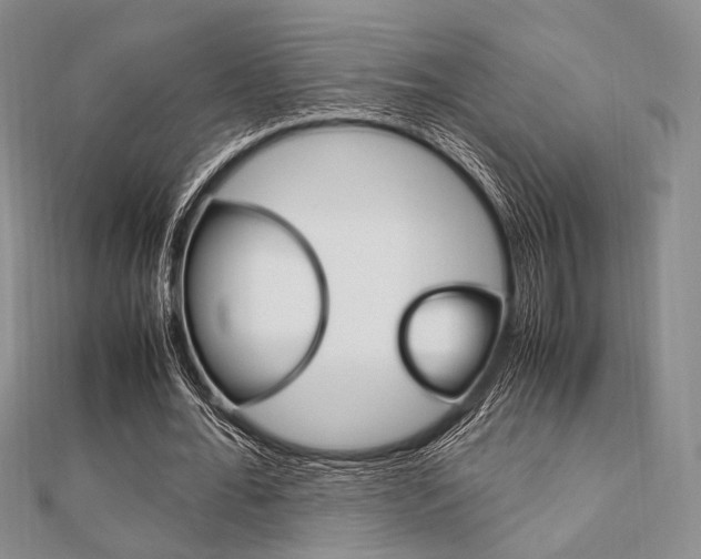 X0000112010676200908031022