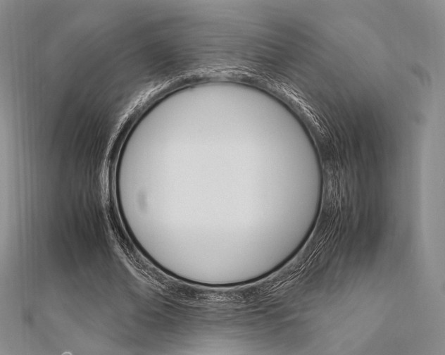X0000112010678200908031022