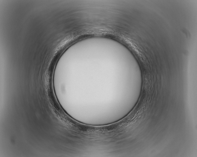 X0000112010679200908031022