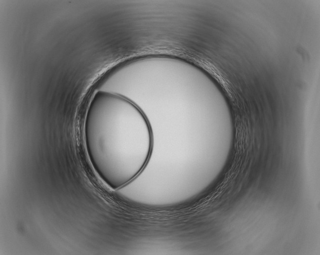 X0000112010680200908031022