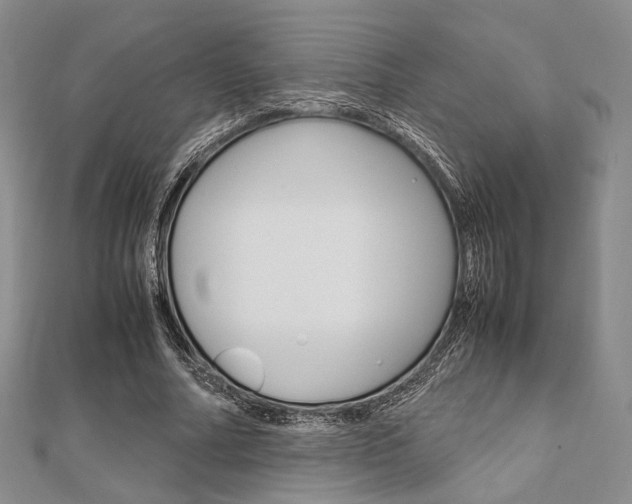 X0000112010682200908031022