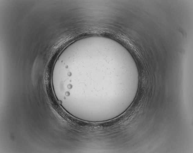 X0000112010683200908031022