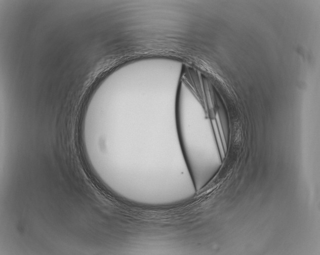 X0000112010685200908031022
