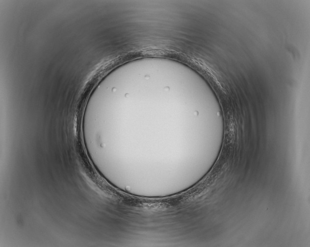 X0000112010686200908031022