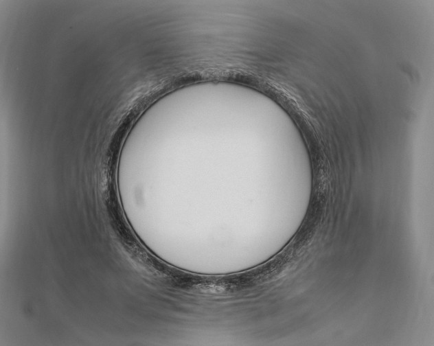X0000112010687200908031022