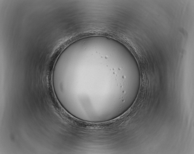 X0000112010688200908031022