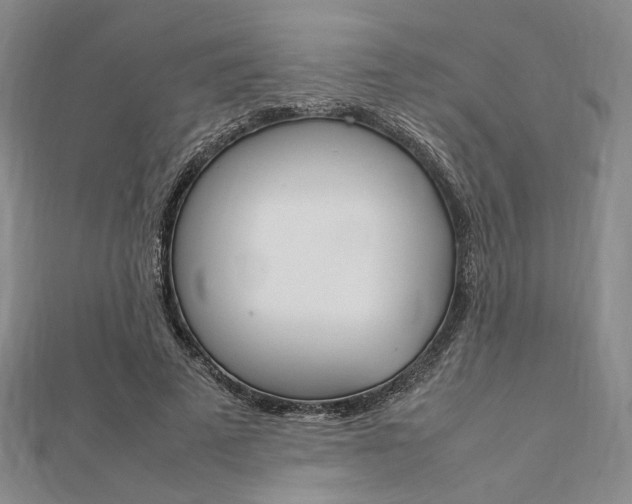 X0000112010689200908031022