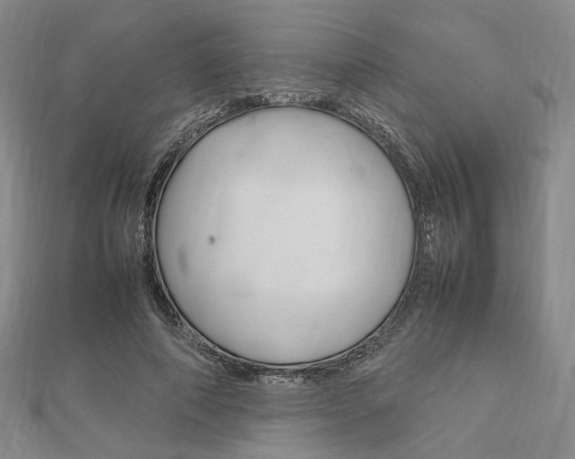 X0000112010690200908031022